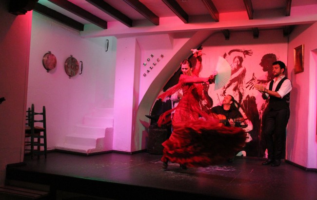 flamenco in Seville Flamenco show in Seville